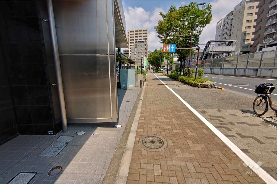 敷地東側の前面道路（南側から）