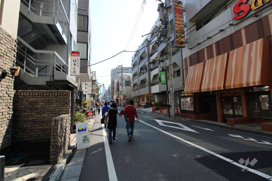 敷地南西側の前面道路（北西側から）
