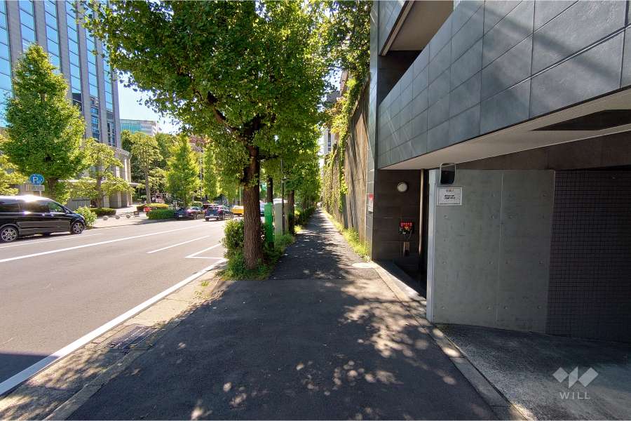 敷地南東側の前面道路（北東側から）