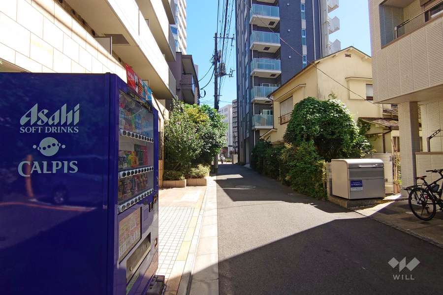 敷地西側の前面道路（北側から）