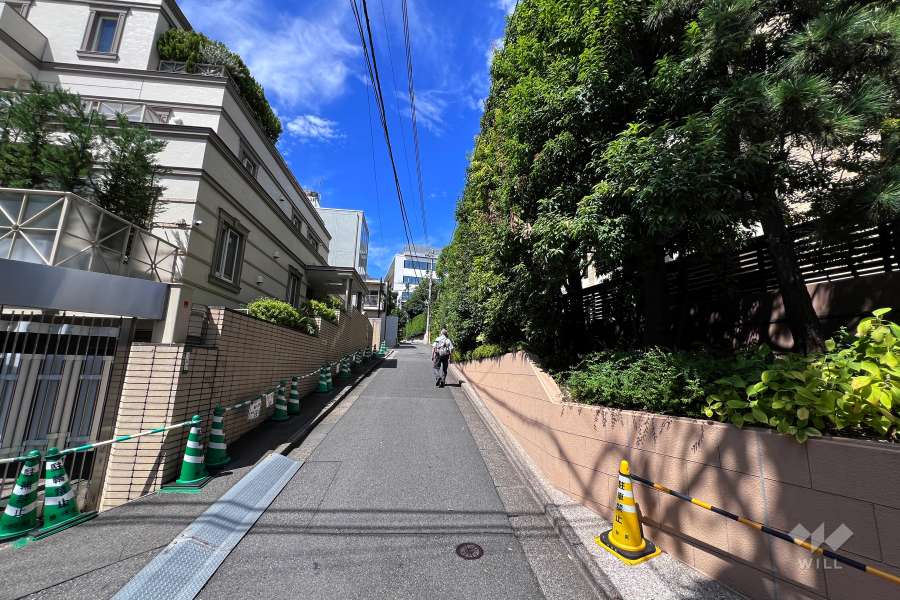 敷地南側の前面道路（東側から）