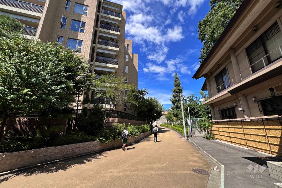 敷地南東側の前面道路（南西側から）