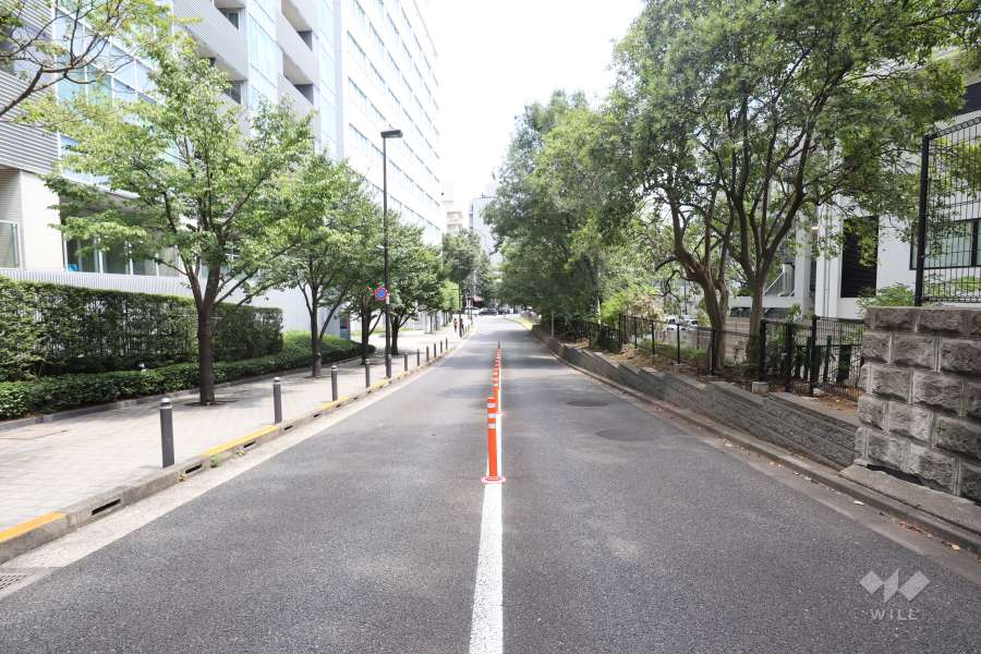 敷地南側の前面道路（西側から）