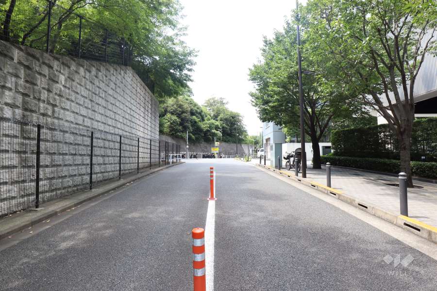 敷地南側の前面道路（東側から）
