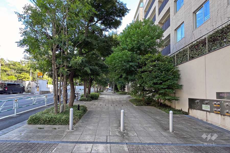 敷地の東側前面道路（北側から）