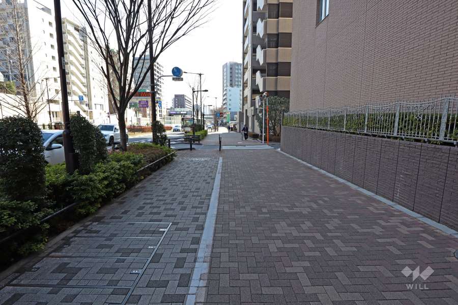 敷地東側の前面道路（北側から）