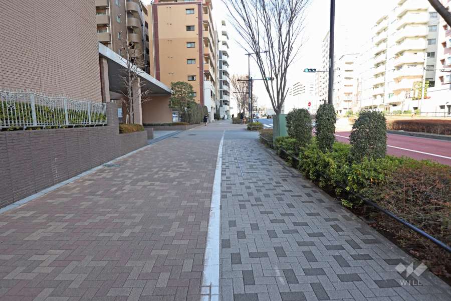 敷地東側の前面道路（南側から）
