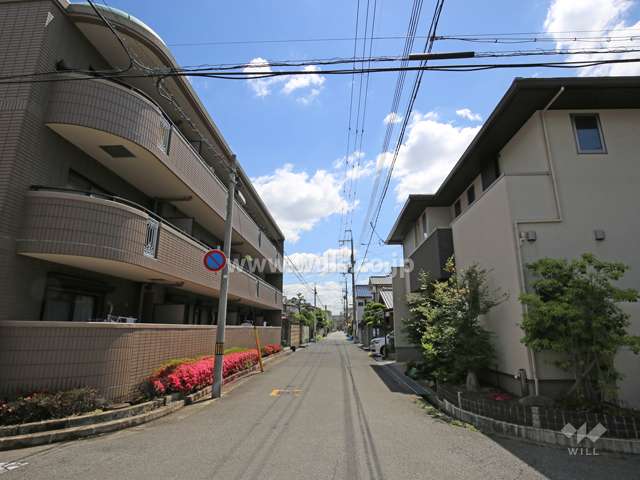 敷地南側の前面道路