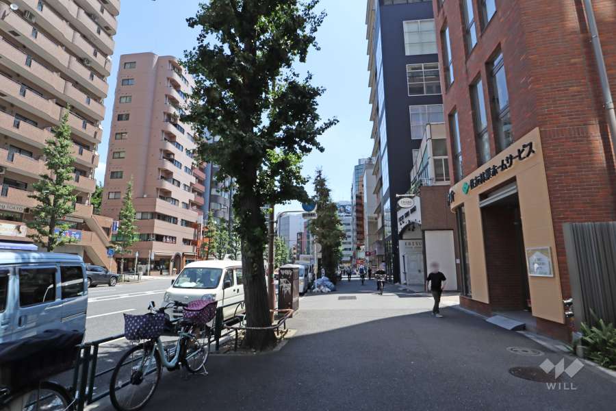 敷地北東側の前面道路