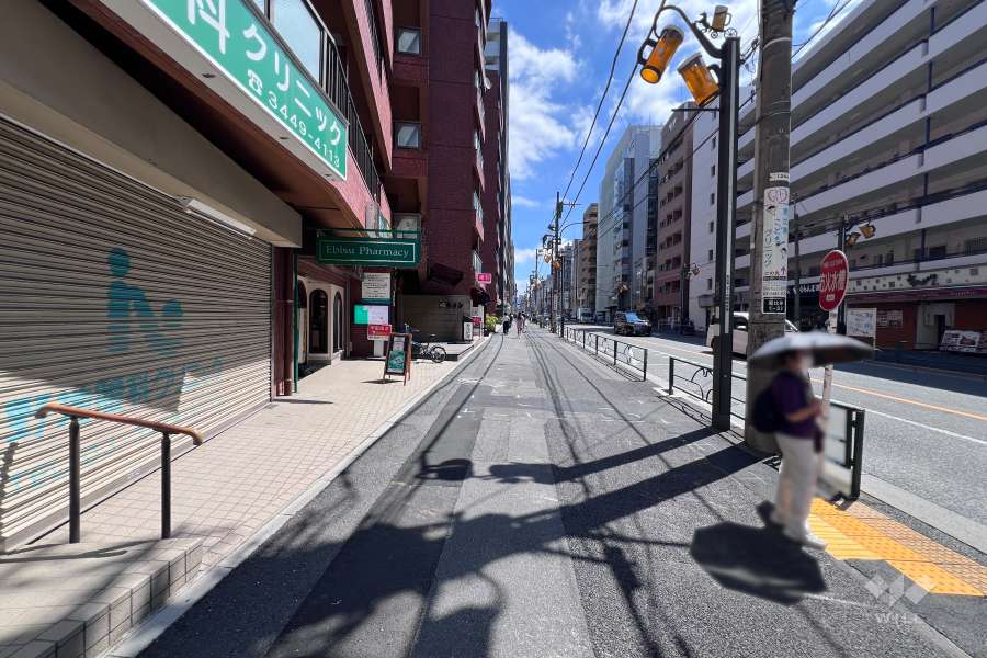 敷地の南側前面道路（西側から）