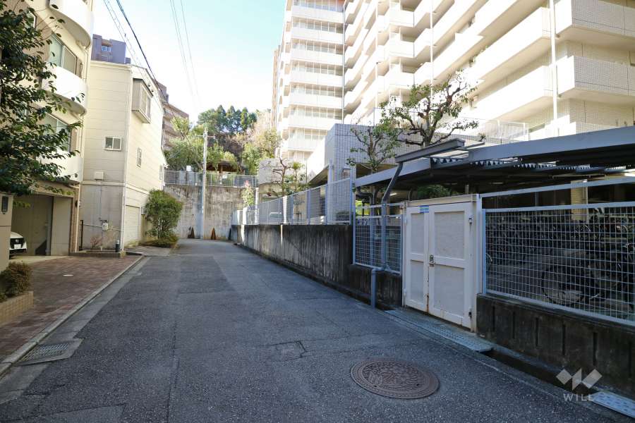 敷地東側の前面道路（東側から）