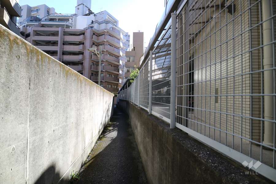 敷地東側の通路