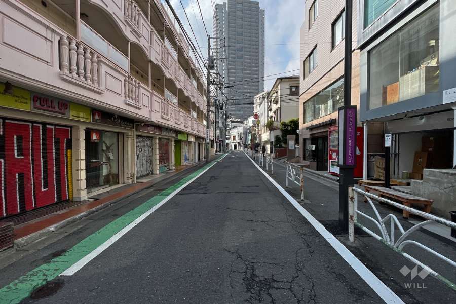 敷地北西側の前面道路（北東側から）