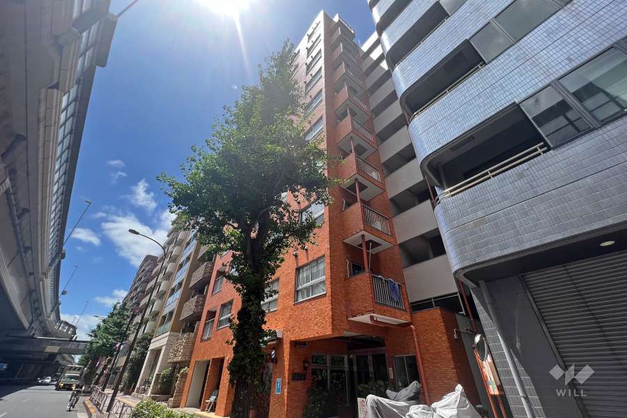 キャッスルマンション幡ヶ谷の外観（南東側から）