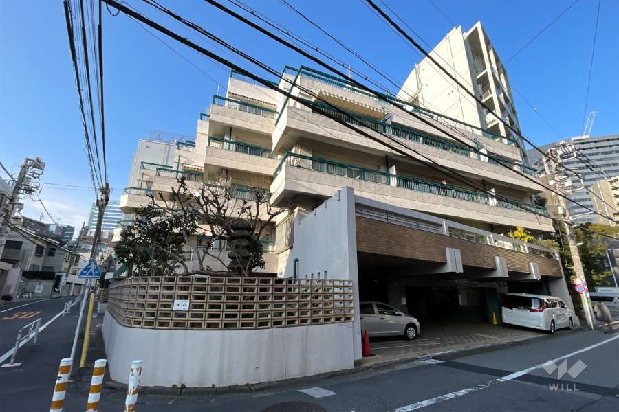 さくらマンションの外観（南東側から）