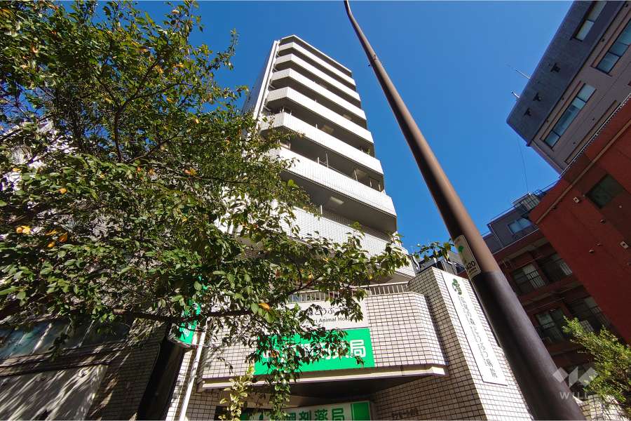 サンセール広尾の外観（南西側から）