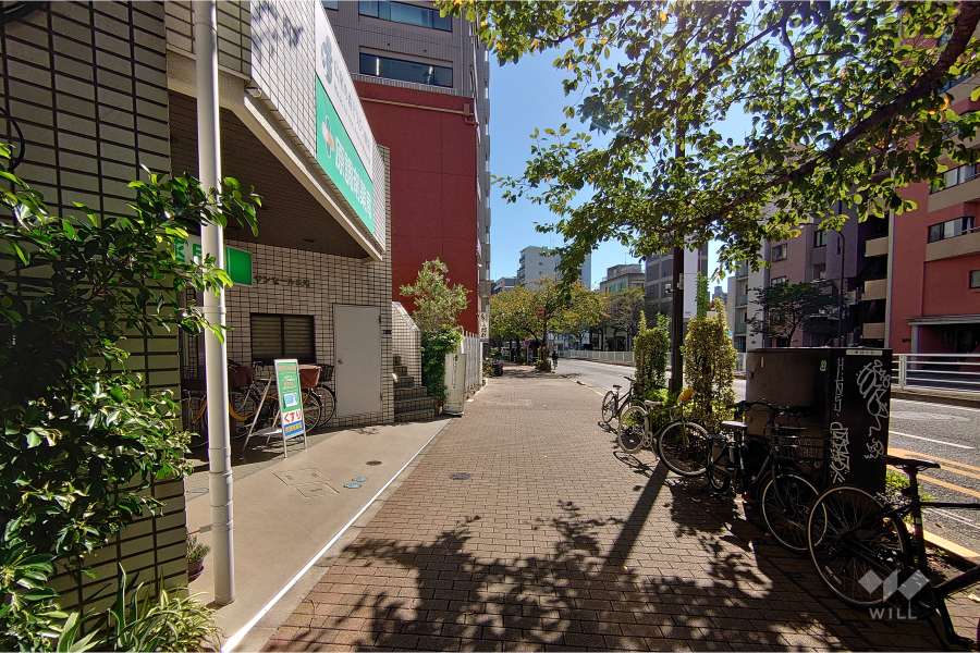 敷地南西側の前面道路（北西側から）