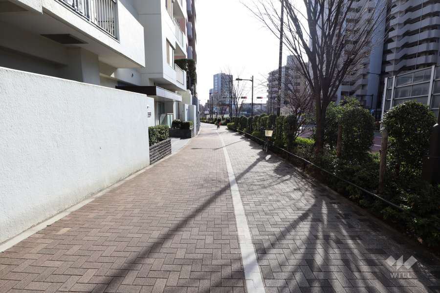 敷地西側の前面道路