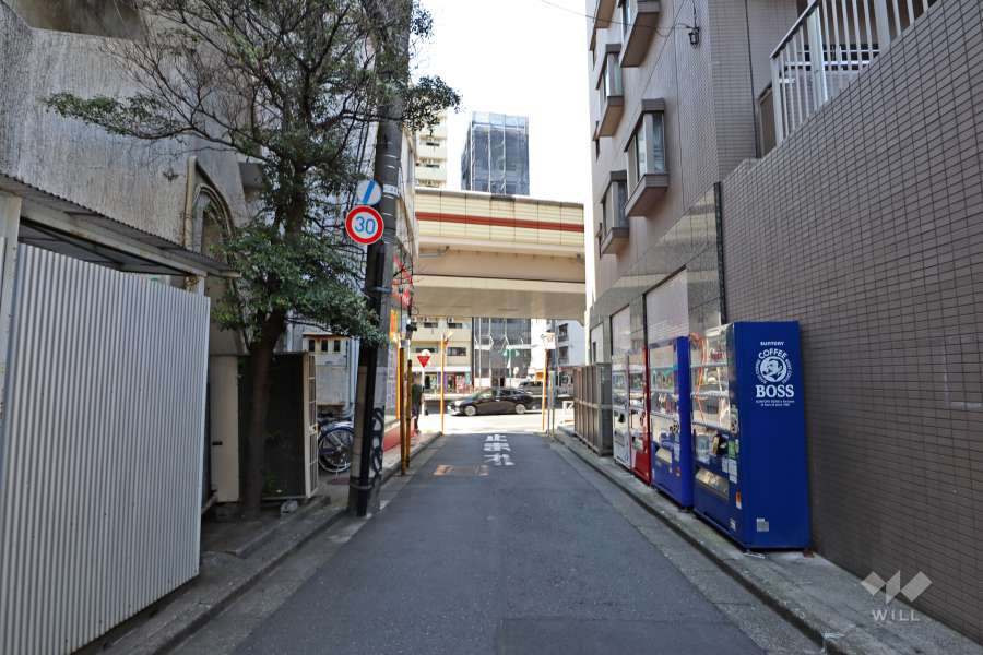 敷地東側の前面道路（南側から）