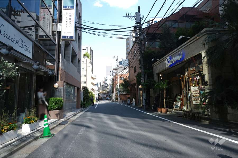 敷地北西側の前面道路（南西側から）