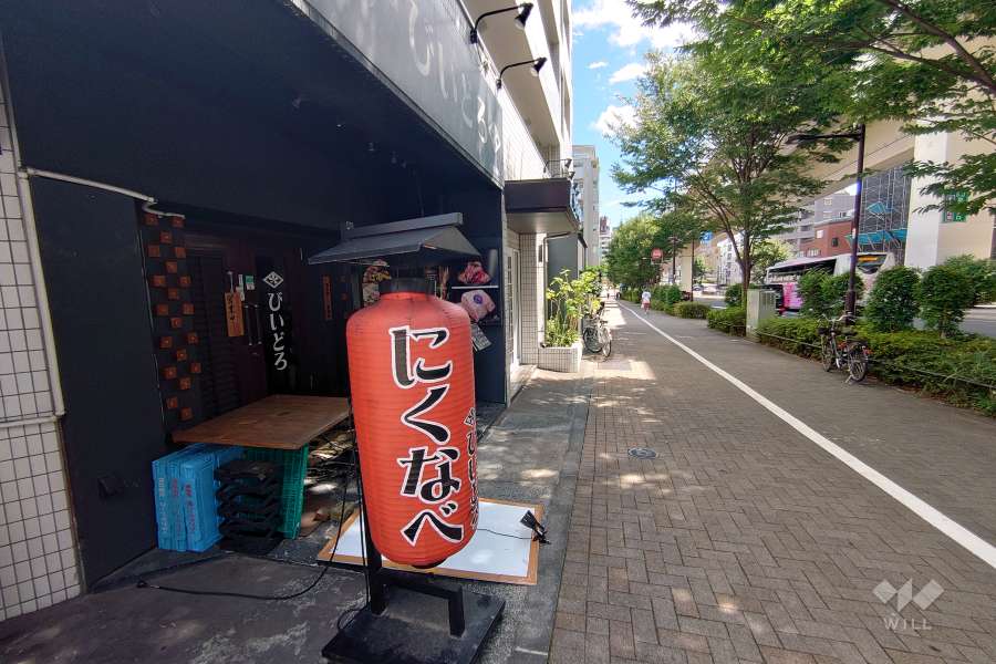 敷地西側の前面道路（北側から）