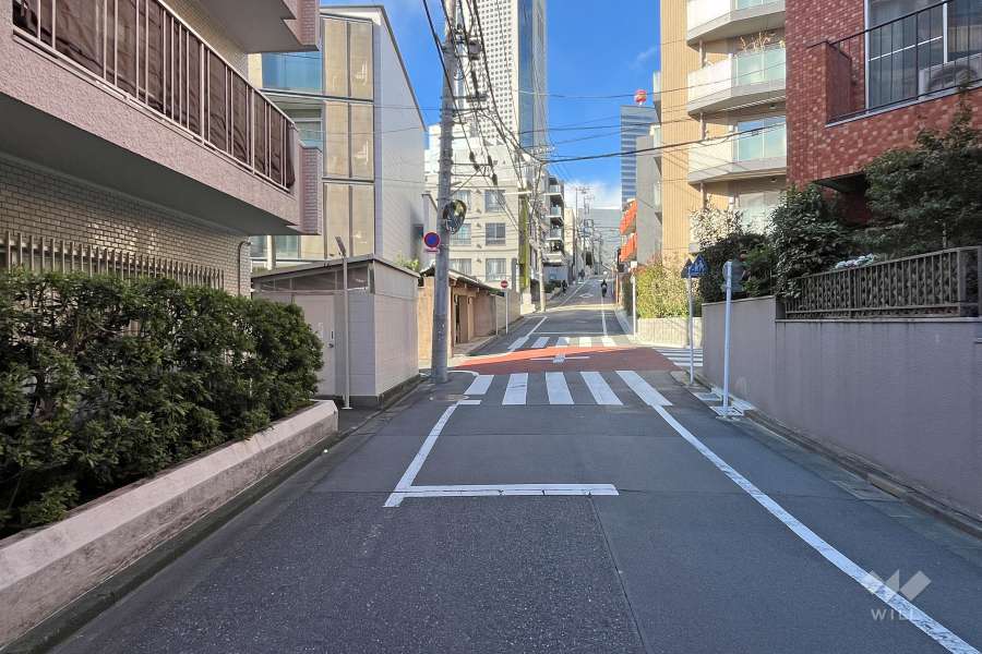 敷地の北東側前面道路（南東側から）