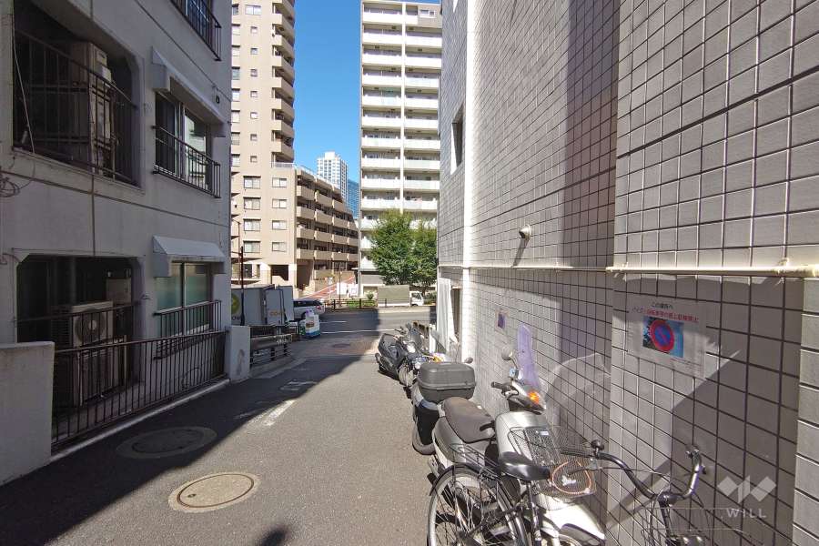 敷地北側の前面道路（西側から）