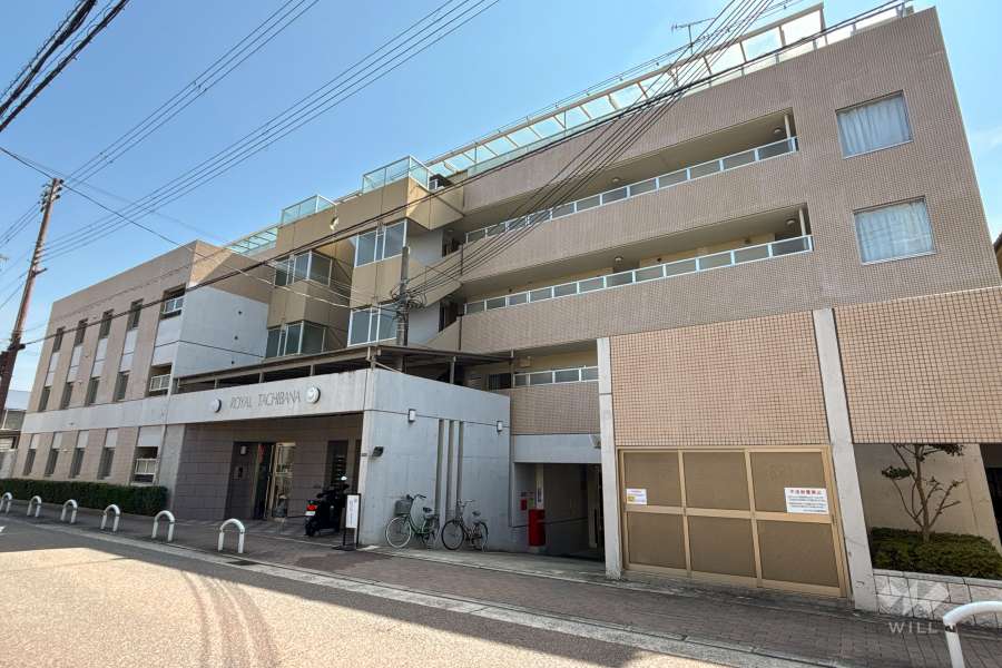 ロイヤル立花の外観(北東側から)