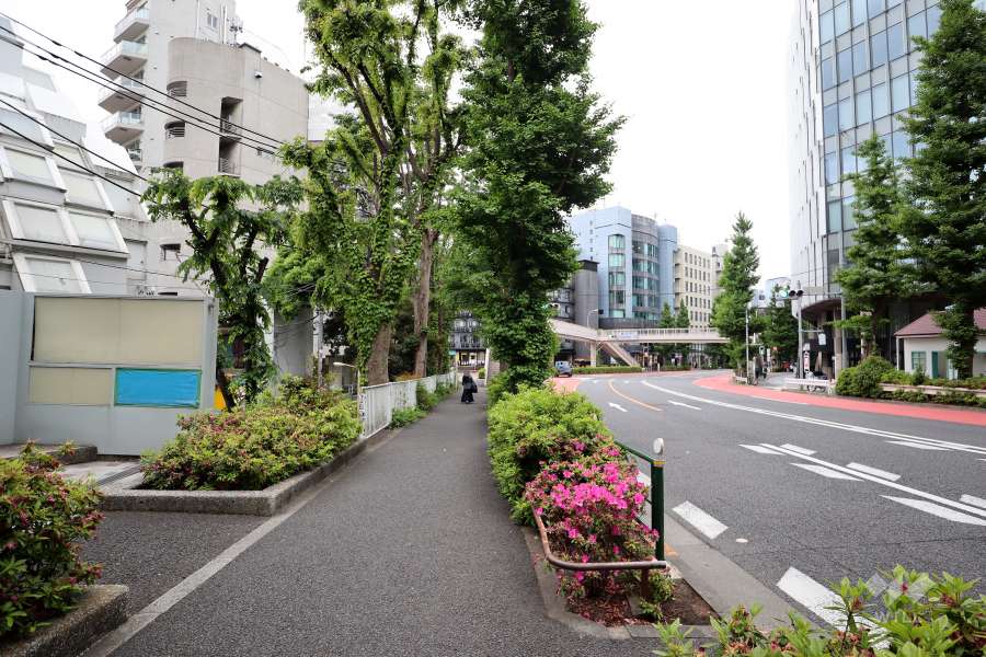 敷地南西側の前面道路