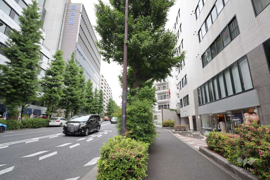 敷地南西側の前面道路