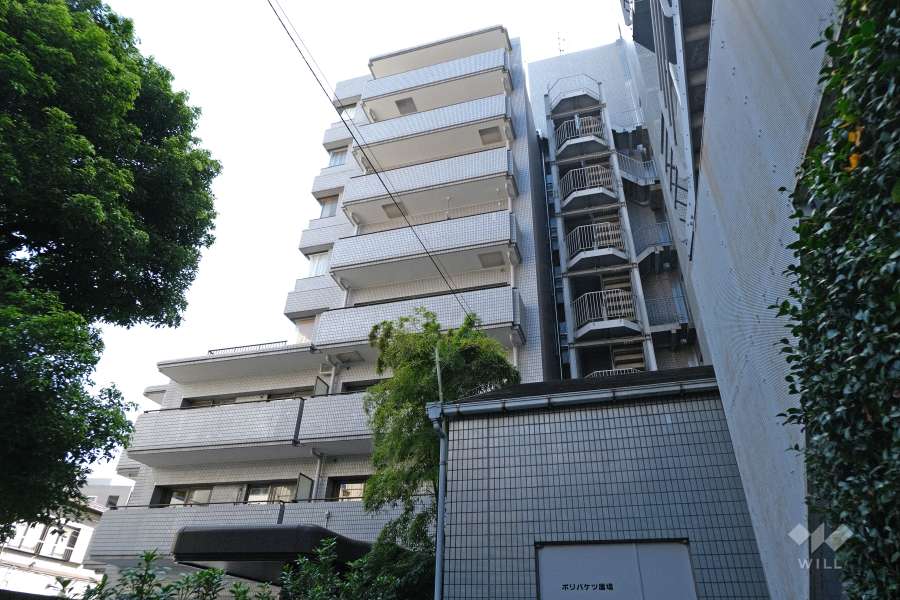 パークノヴァ恵比寿の外観（北西側から）