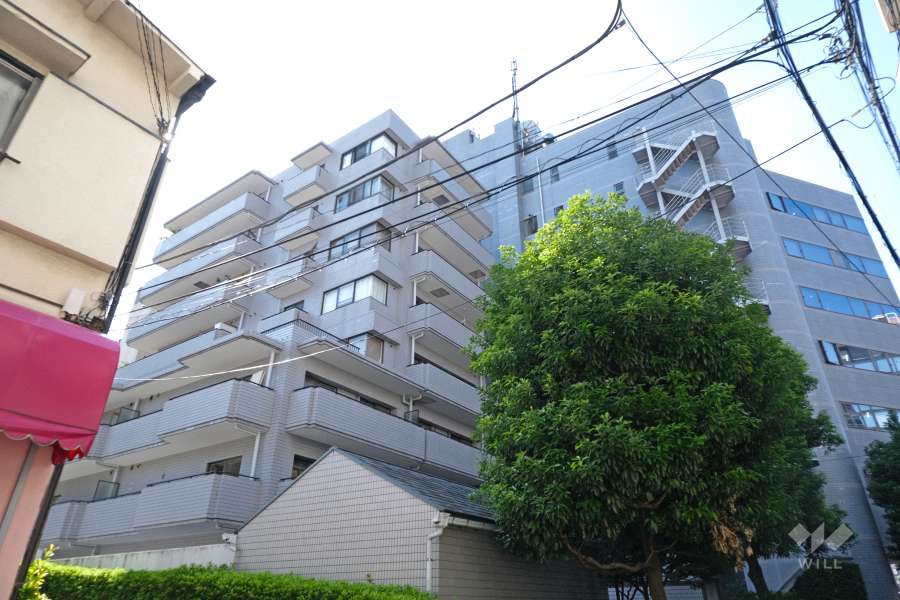 パークノヴァ恵比寿の外観（北東側から）