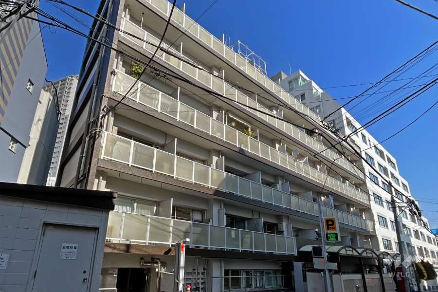 代官山パーフェクトルームの外観（南側から）