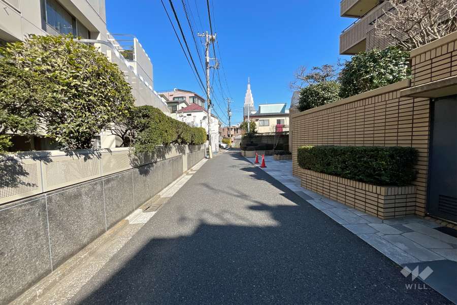 敷地北西側の前面道路（南西側から）