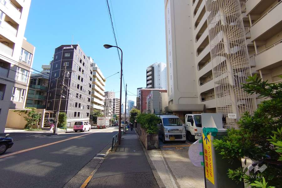 敷地北側の前面道路（西側から）