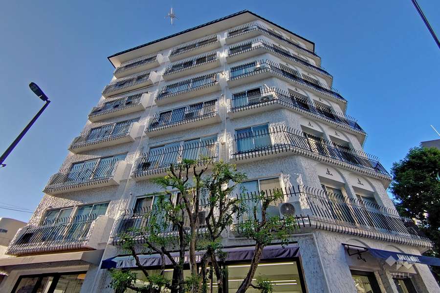 秀和外苑レジデンスの外観（南側から）