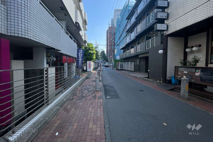 敷地南東側の前面道路（南西側から）