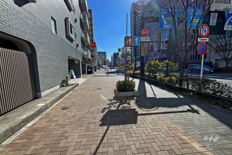 敷地西側の前面道路（北側から）