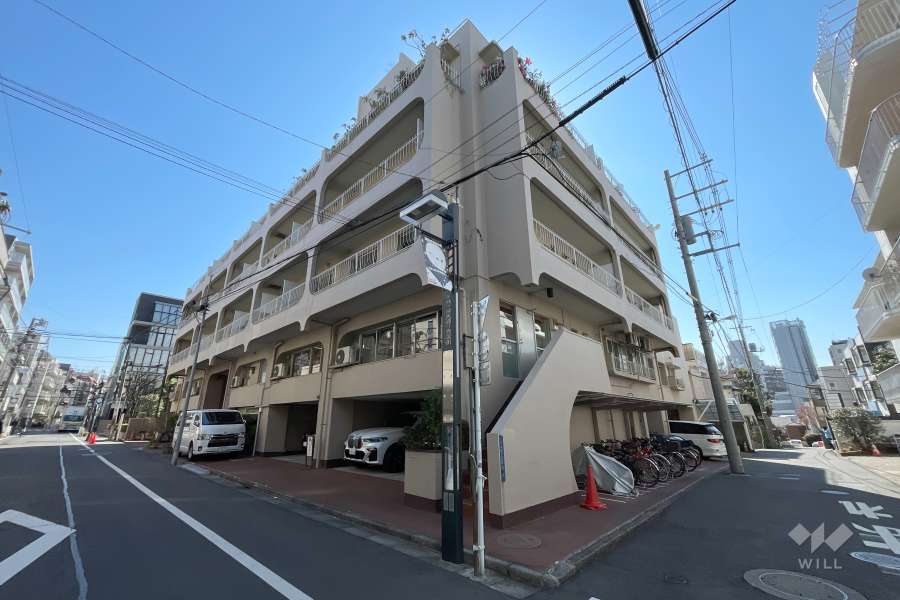 敷地北東側と北西側の前面道路(北西側から)