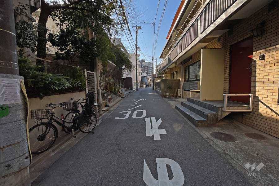 敷地東側の前面道路（北側から）