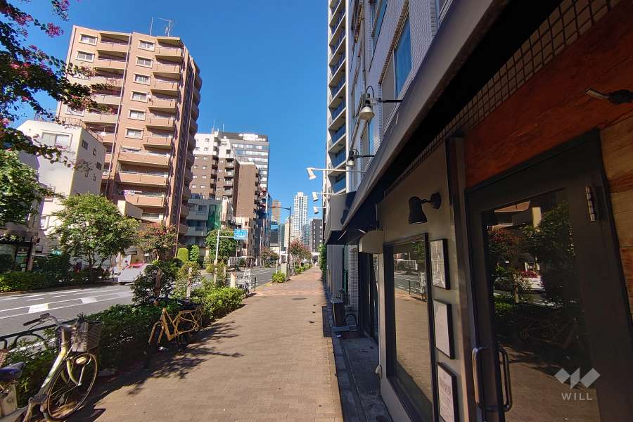 敷地北西側の前面道路（南西側から）