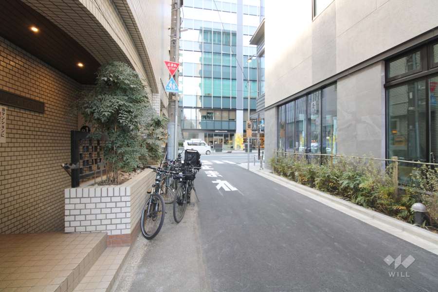 敷地北側の前面道路