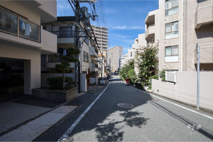 敷地東側の前面道路