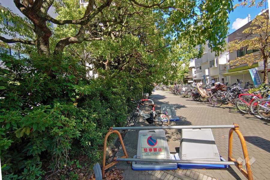 敷地南側は玉川上水旧水路緑道に面しています。