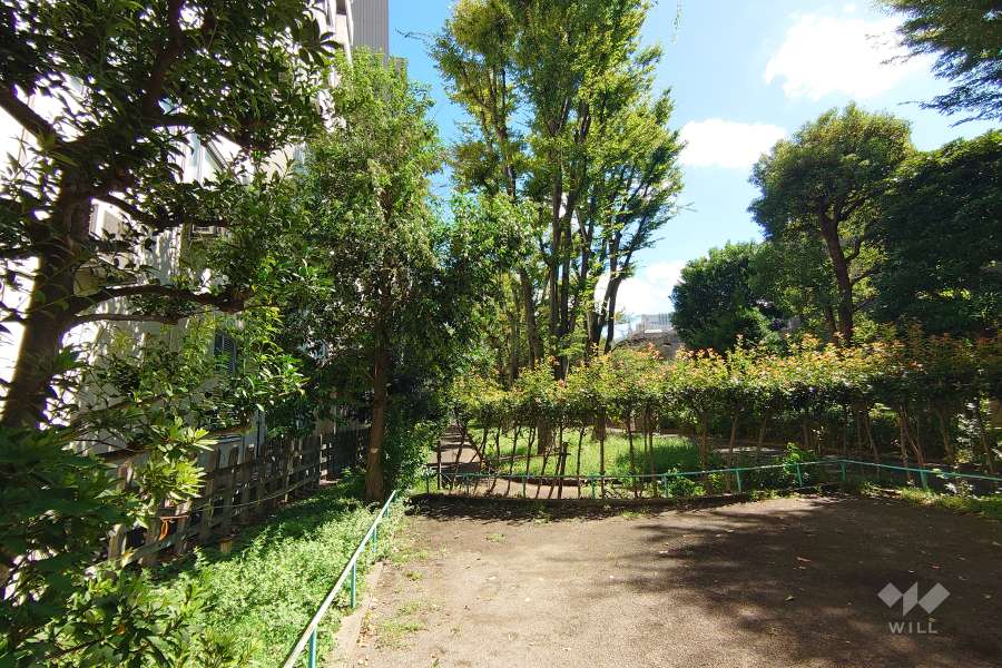 敷地の南側には『代々木緑道』が通っています。