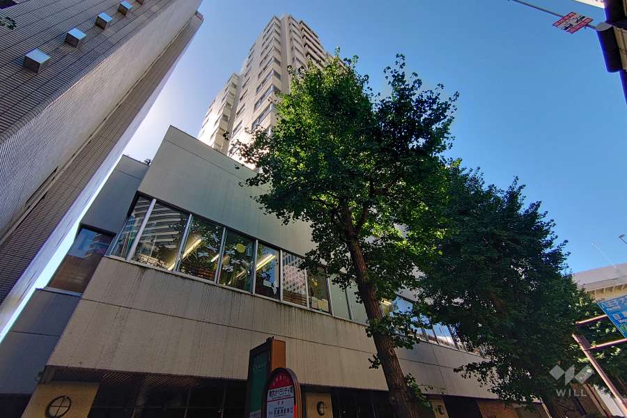 キャッスル新宿の外観（北東側から）