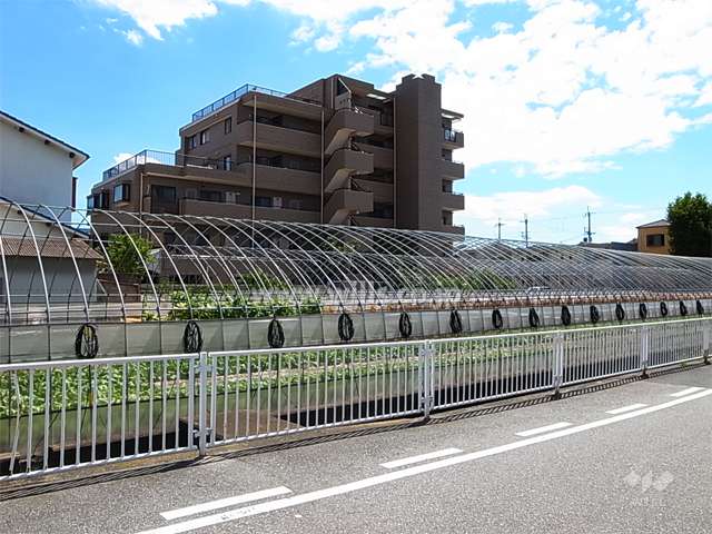 所々に田畑が残りのどかな雰囲気です。