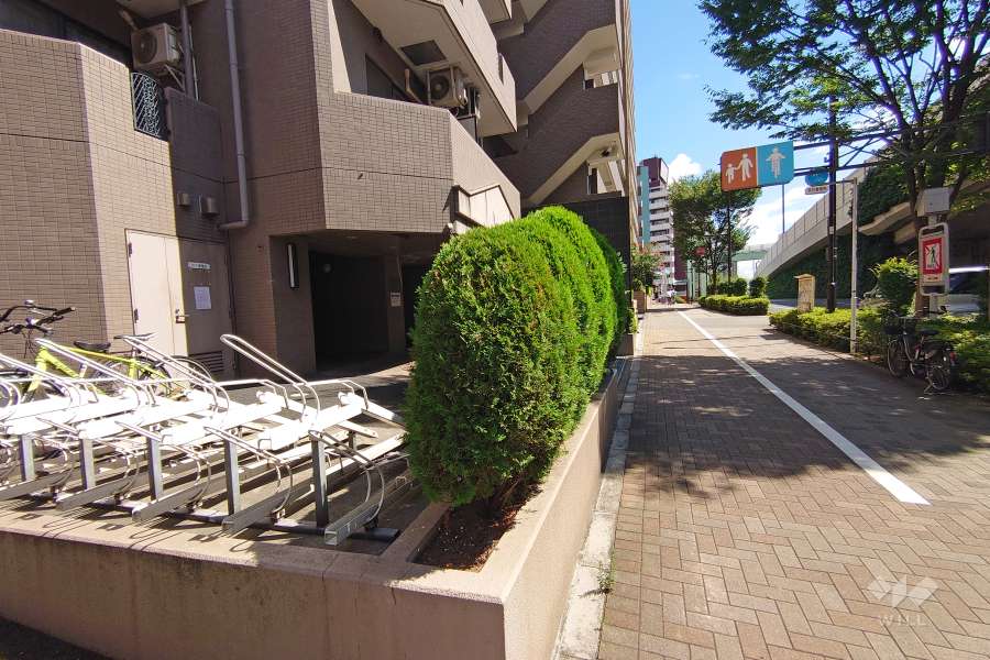 敷地西側の前面道路（北側から）