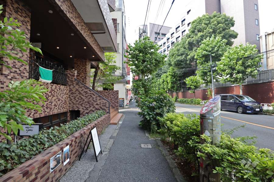 敷地東側の前面道路（南側から）