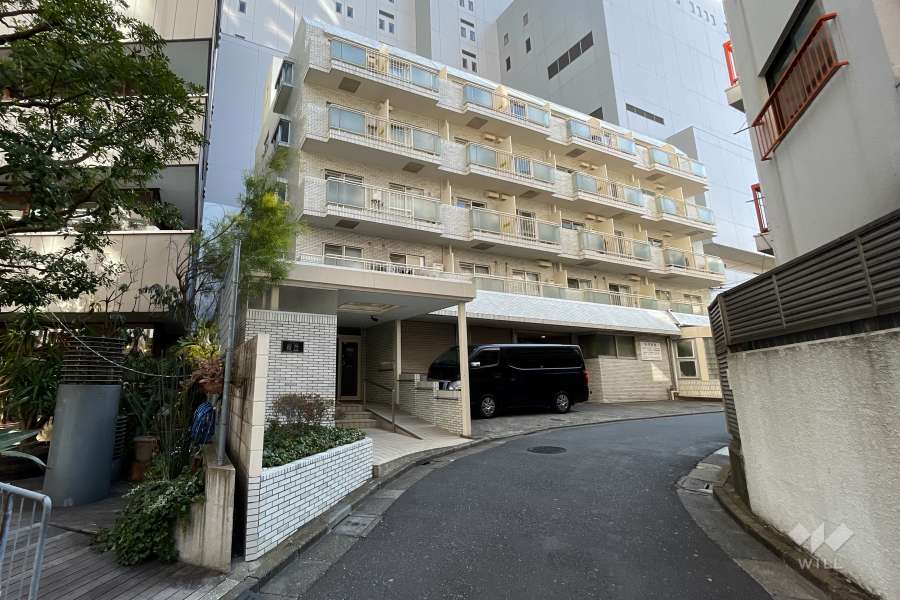 シティコート桜丘の外観（北西側から）